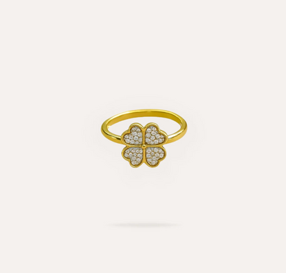Anxiety Relief Clarity Rings™
